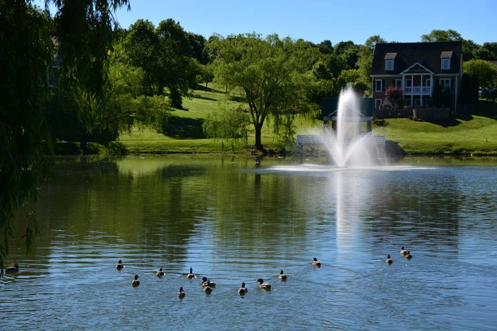 Image number 9 for the current listing