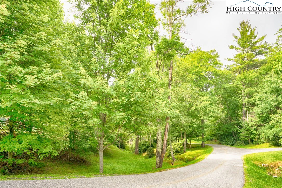 Image number 7 for the current listing