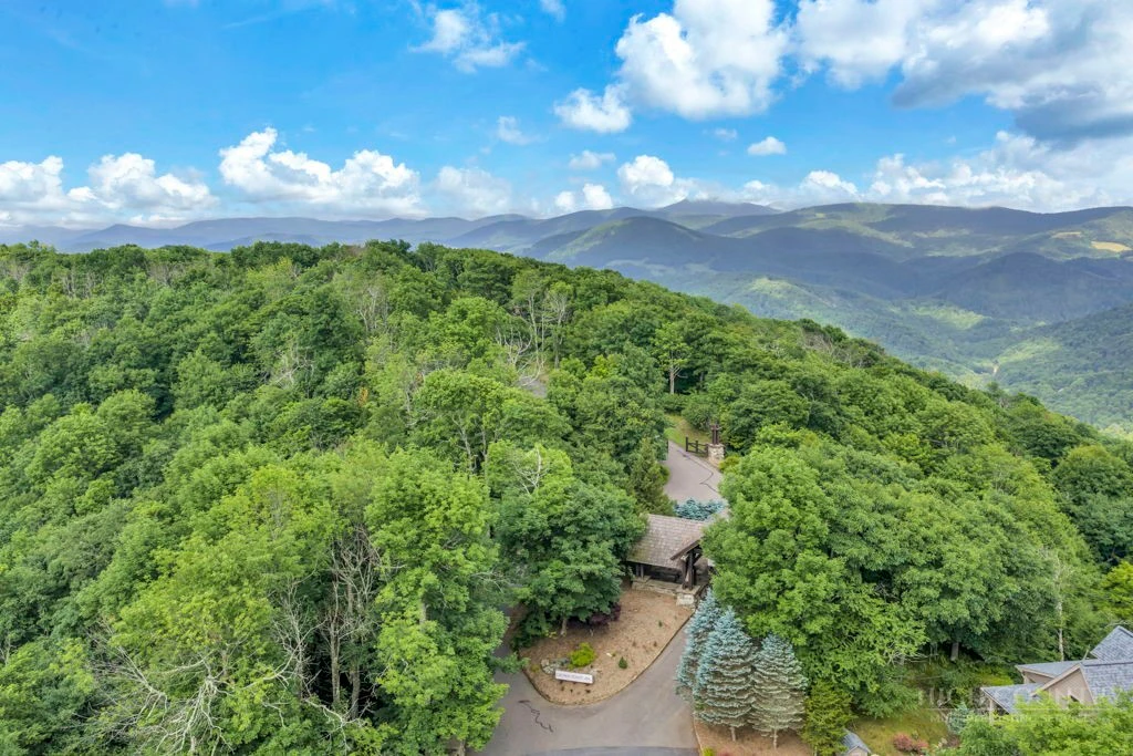 Image number 3 for the current listing