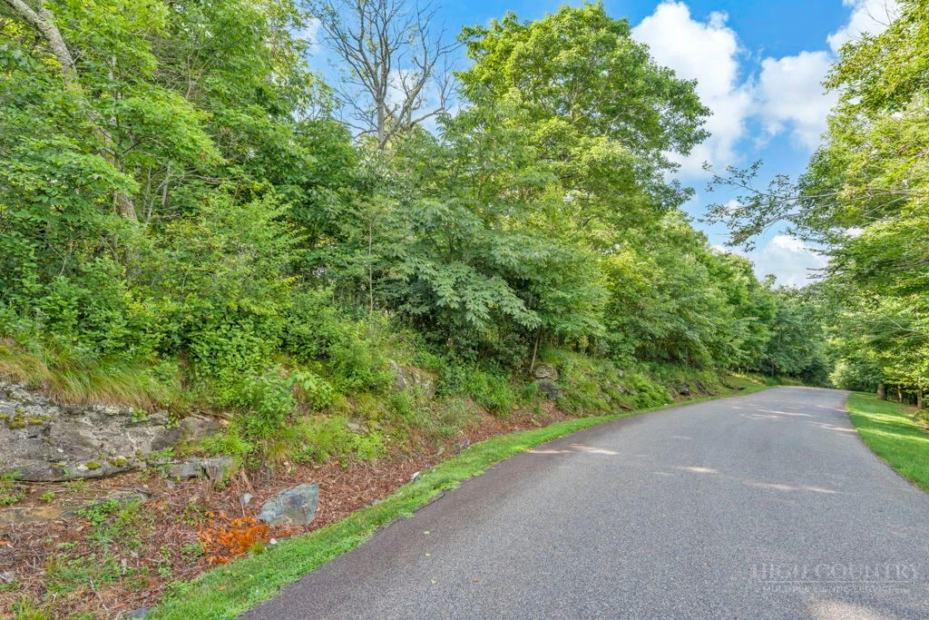 Image number 11 for the current listing