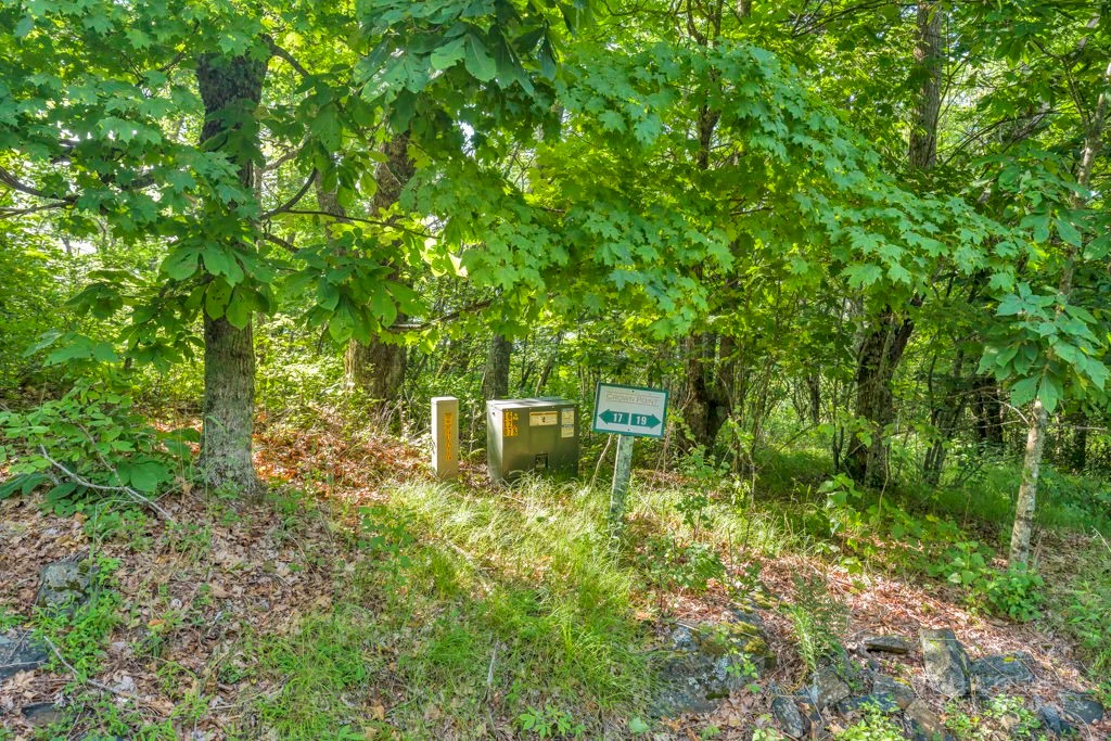 Image number 13 for the current listing