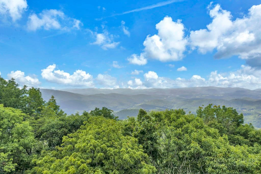 Image number 4 for the current listing