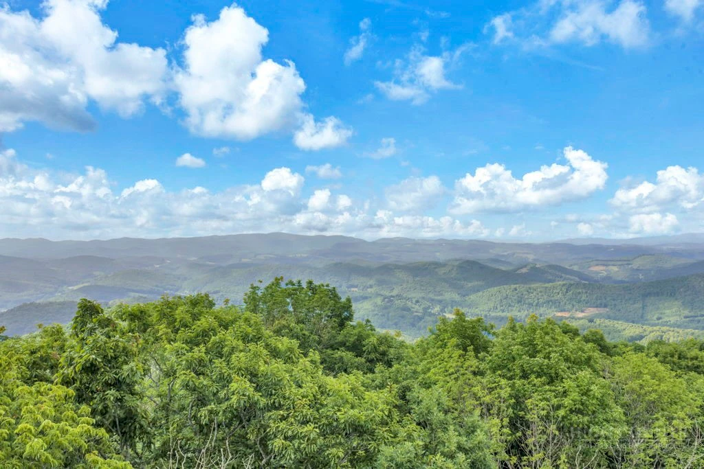 Image number 5 for the current listing
