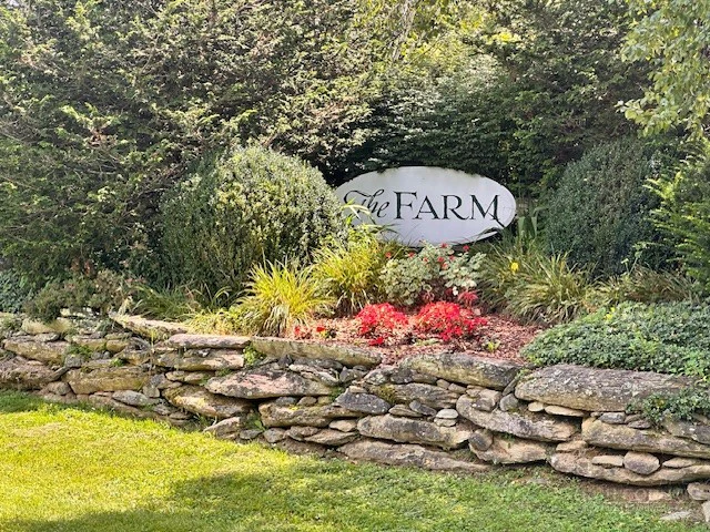 Image number 2 for the current listing