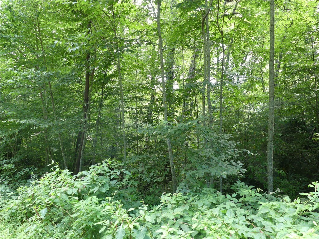 Image number 3 for the current listing