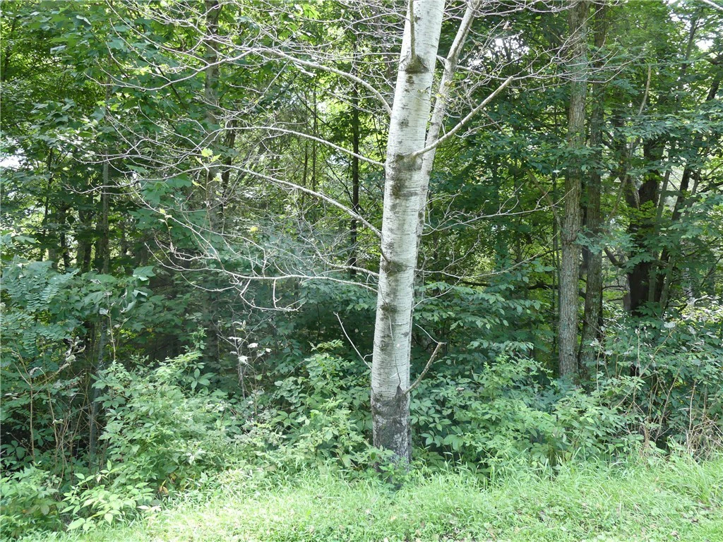 Image number 4 for the current listing