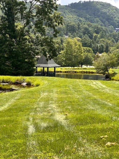 Image number 12 for the current listing