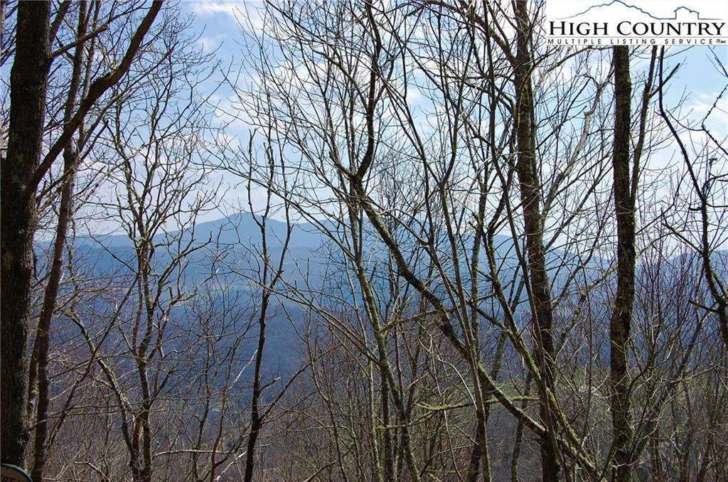 Image number 1 for the current listing