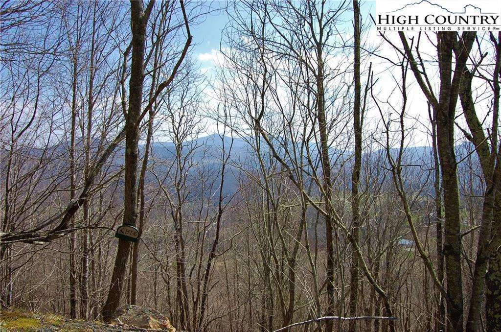 Image number 3 for the current listing
