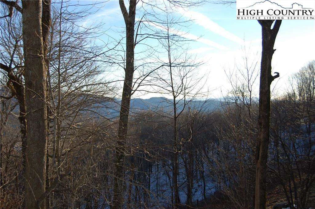Image number 5 for the current listing
