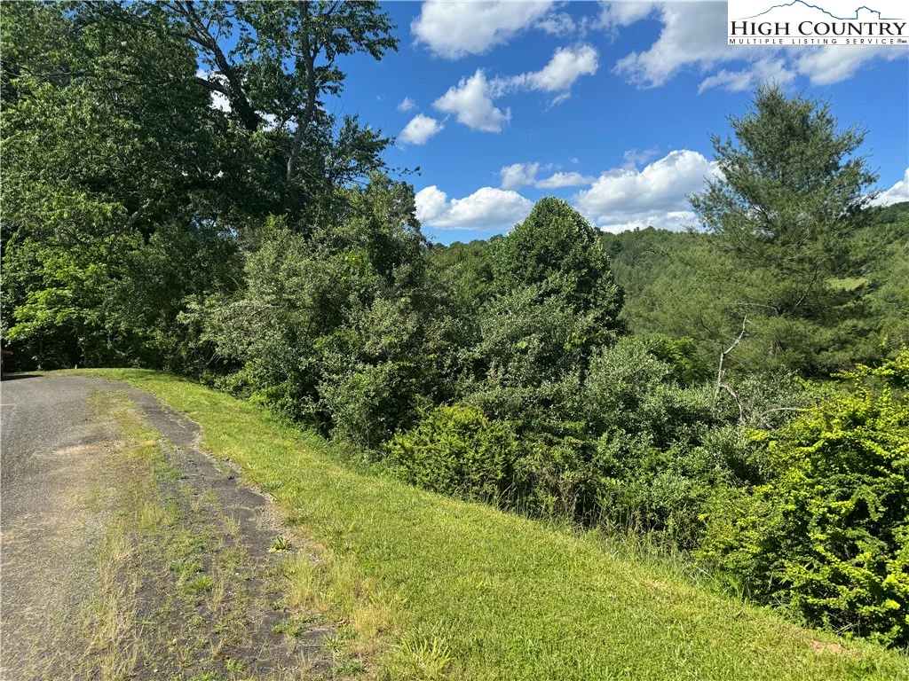 Image number 1 for the current listing