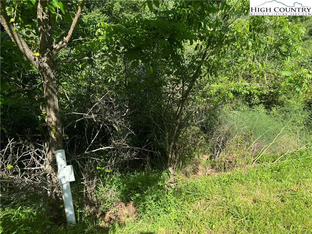 Image number 3 for the current listing