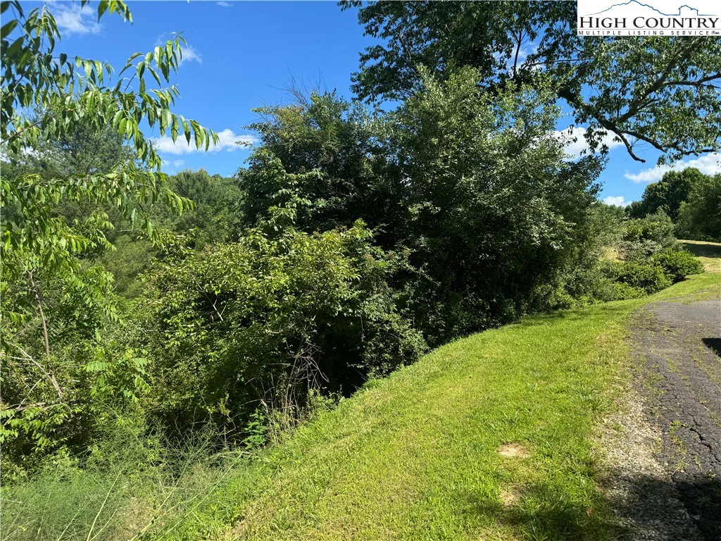 Image number 2 for the current listing