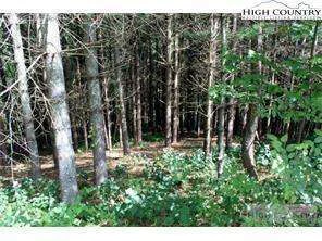 Image number 1 for the current listing