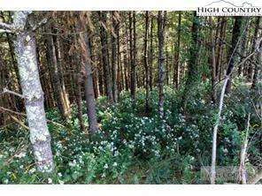 Image number 3 for the current listing