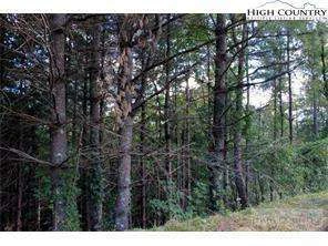 Image number 4 for the current listing