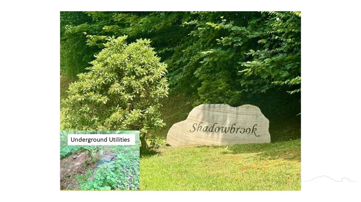 Image number 1 for the current listing