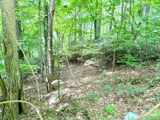 Image number 2 for the current listing