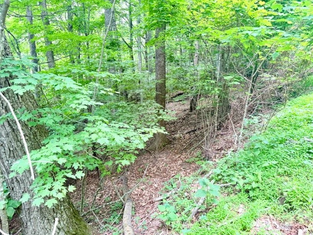 Image number 5 for the current listing