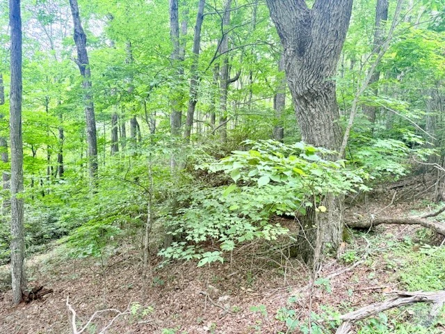 Image number 6 for the current listing