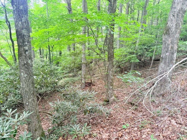 Image number 9 for the current listing