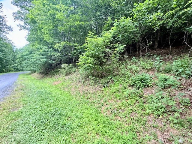 Image number 11 for the current listing