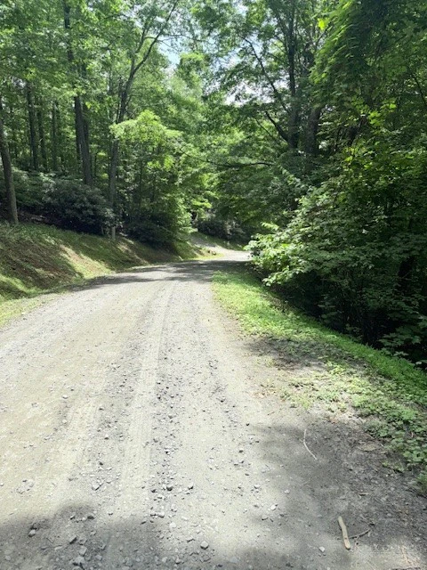 Image number 12 for the current listing