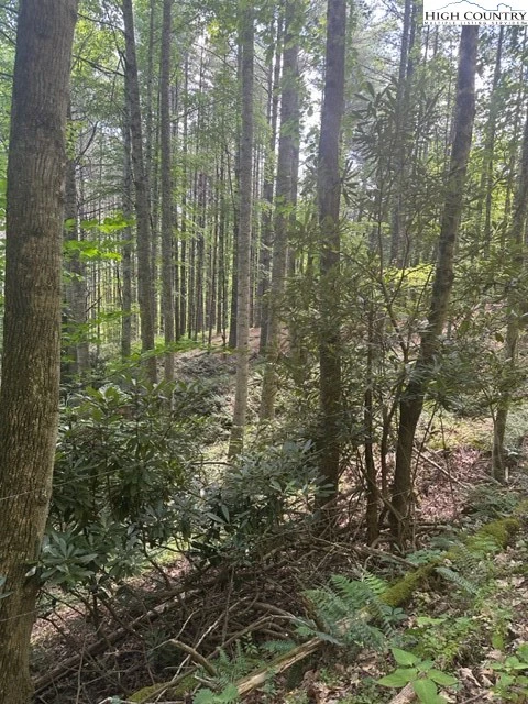 Image number 1 for the current listing