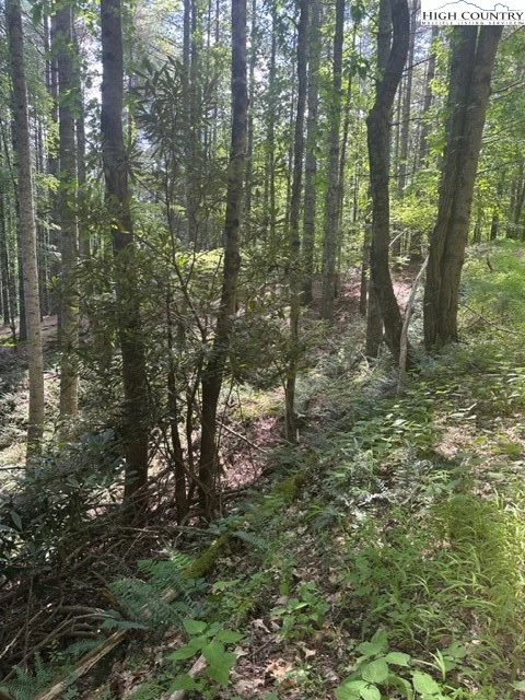 Image number 3 for the current listing