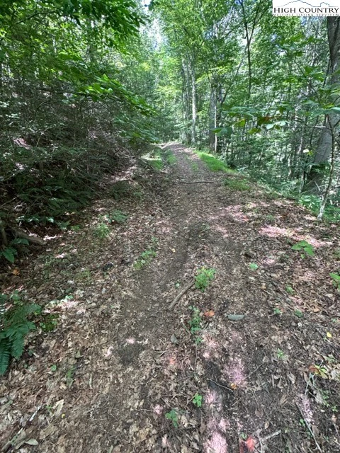 Image number 4 for the current listing
