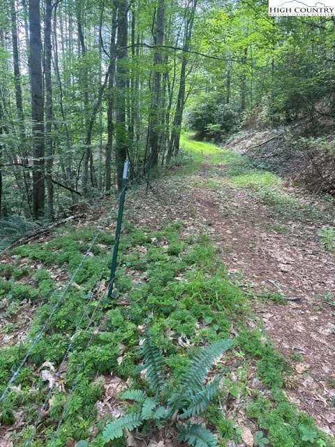 Image number 5 for the current listing