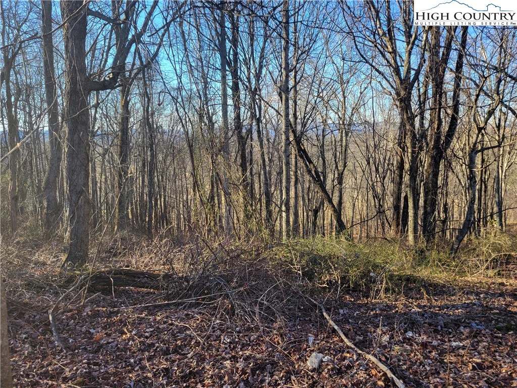 Image number 1 for the current listing