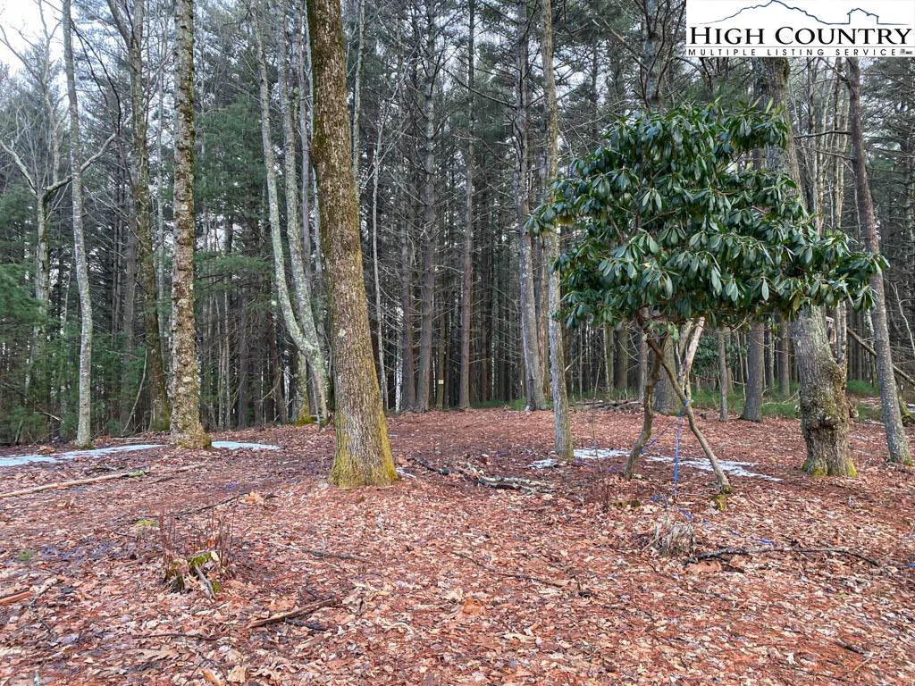 Image number 9 for the current listing