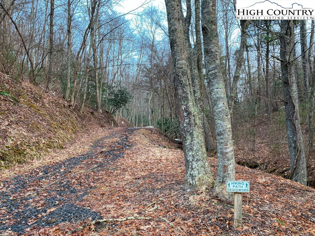 Image number 6 for the current listing