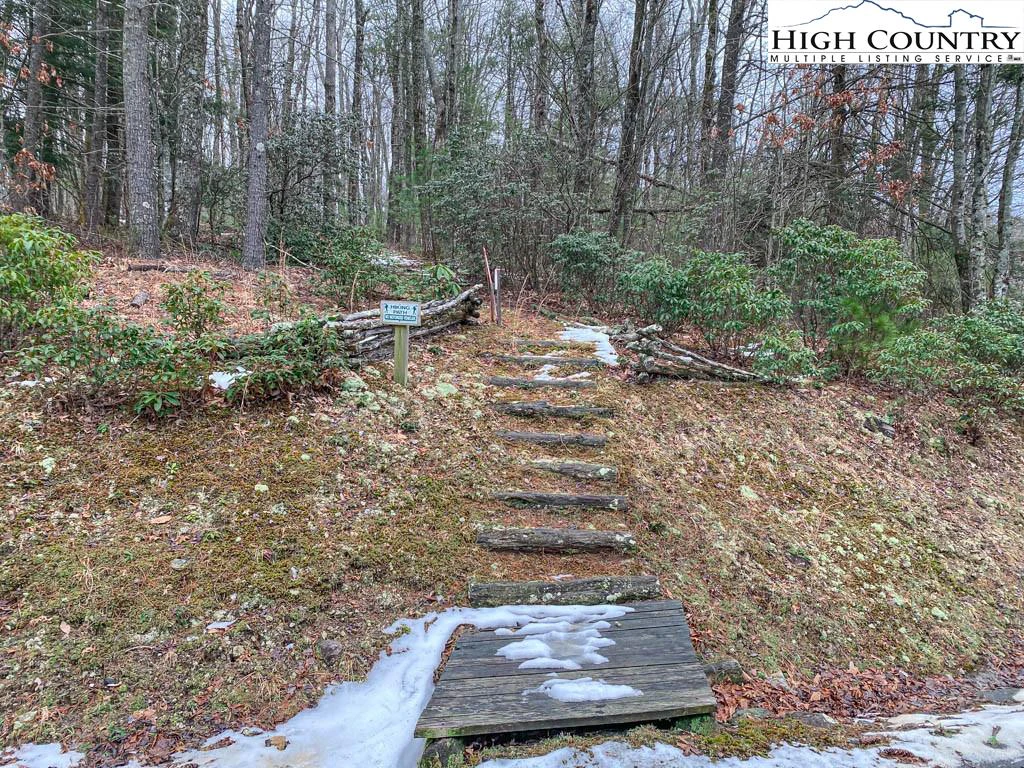 Image number 5 for the current listing
