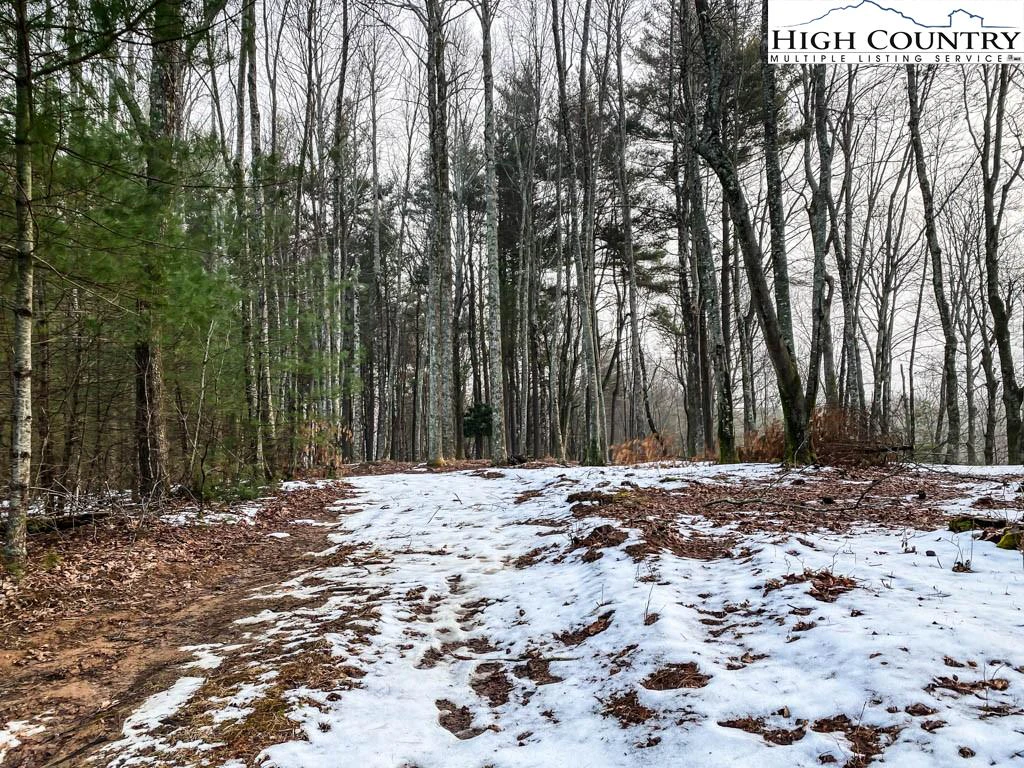 Image number 14 for the current listing