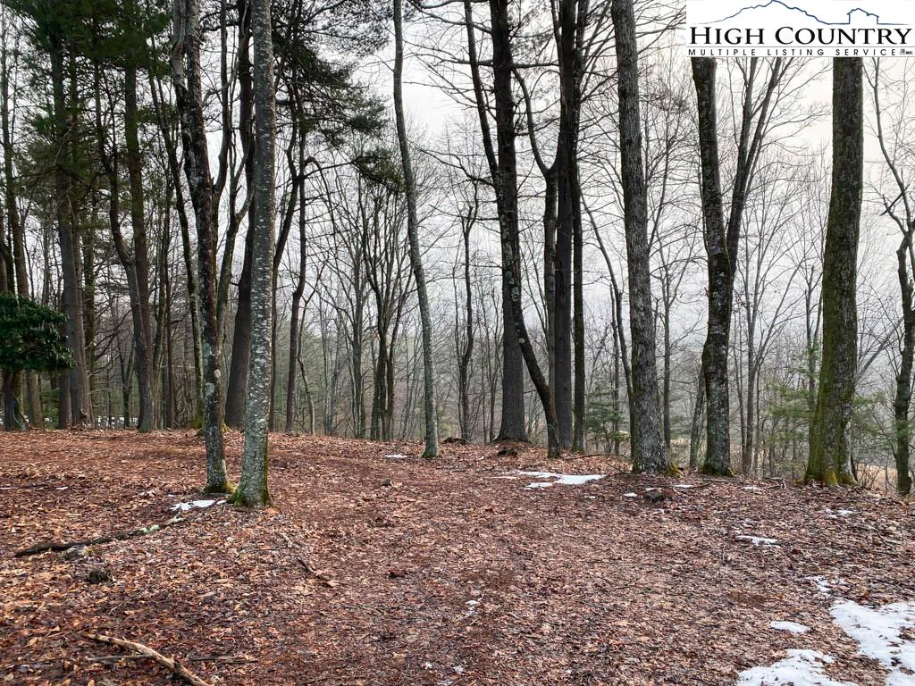 Image number 13 for the current listing