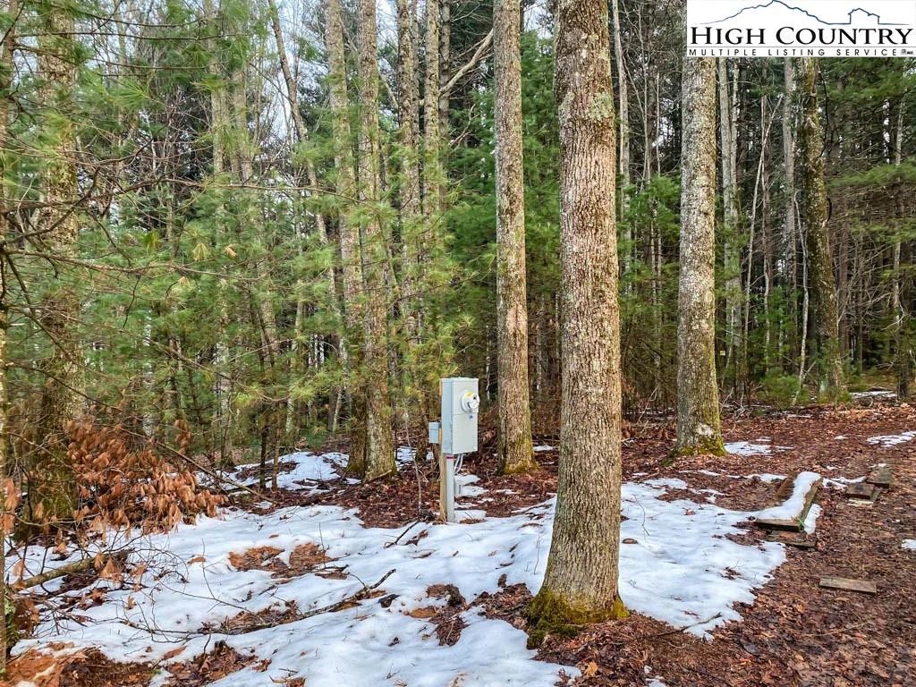 Image number 12 for the current listing