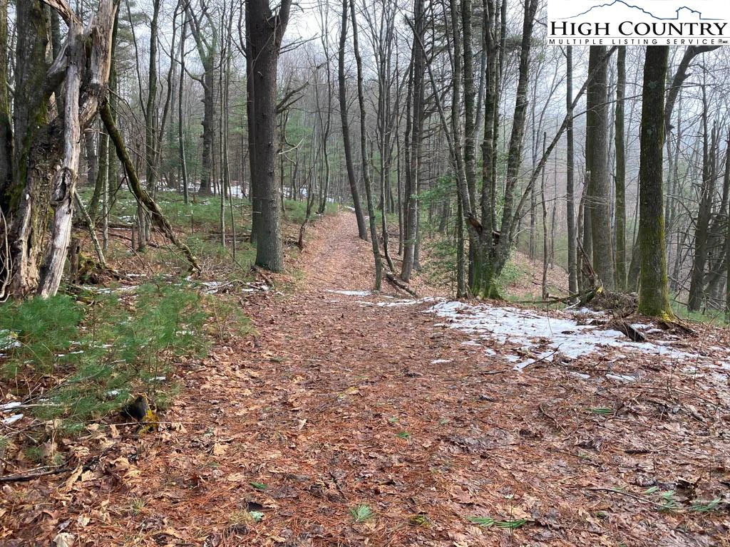 Image number 11 for the current listing
