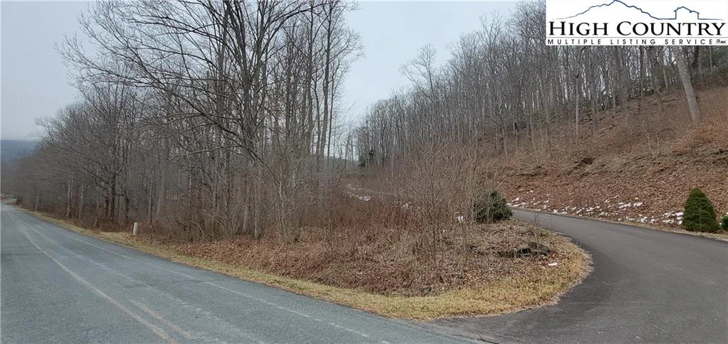 Image number 1 for the current listing