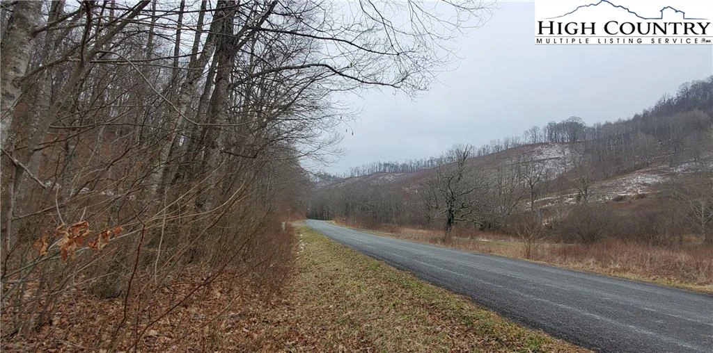 Image number 11 for the current listing