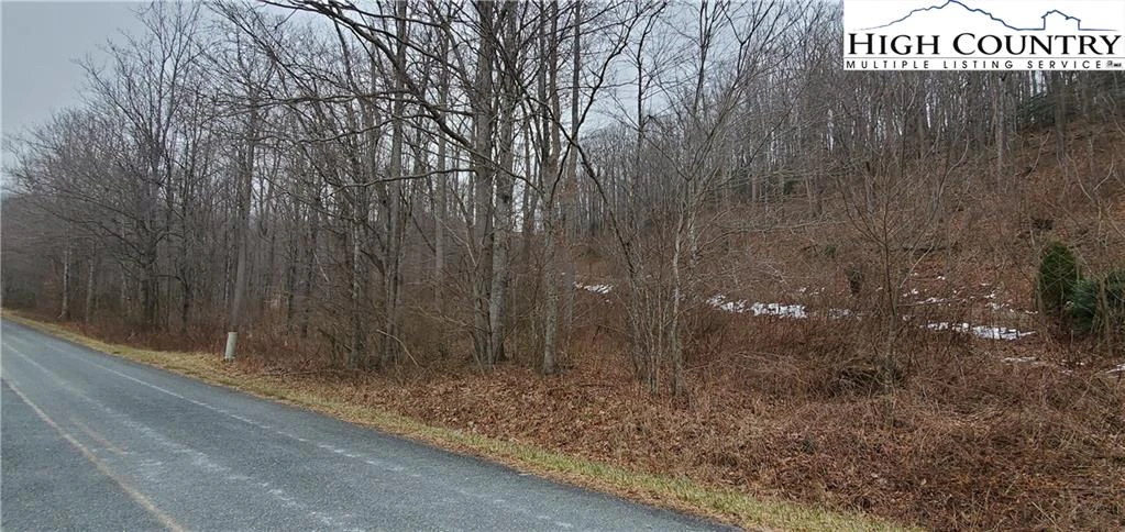 Image number 3 for the current listing