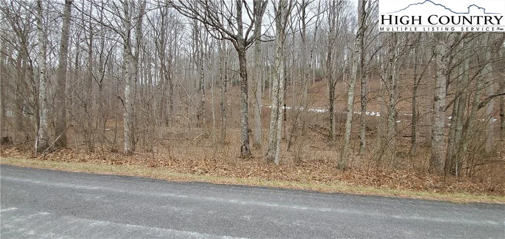 Image number 5 for the current listing