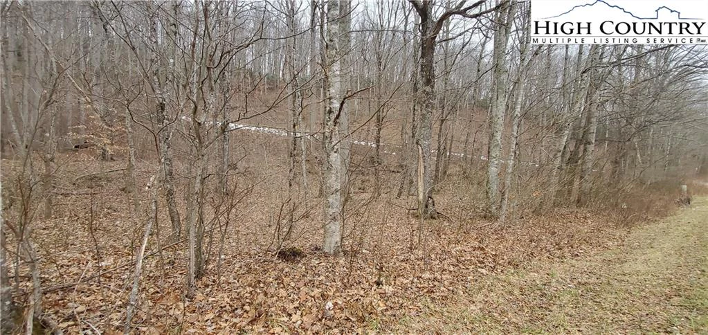 Image number 6 for the current listing