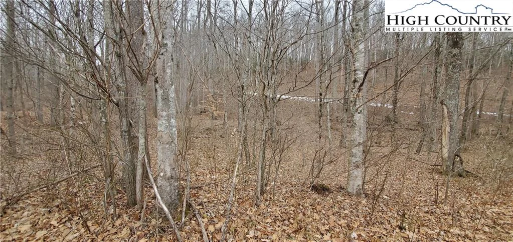 Image number 7 for the current listing