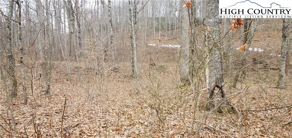 Image number 8 for the current listing