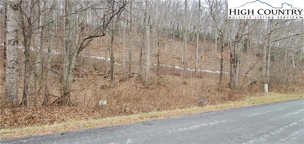 Image number 9 for the current listing