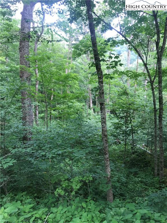 Image number 6 for the current listing