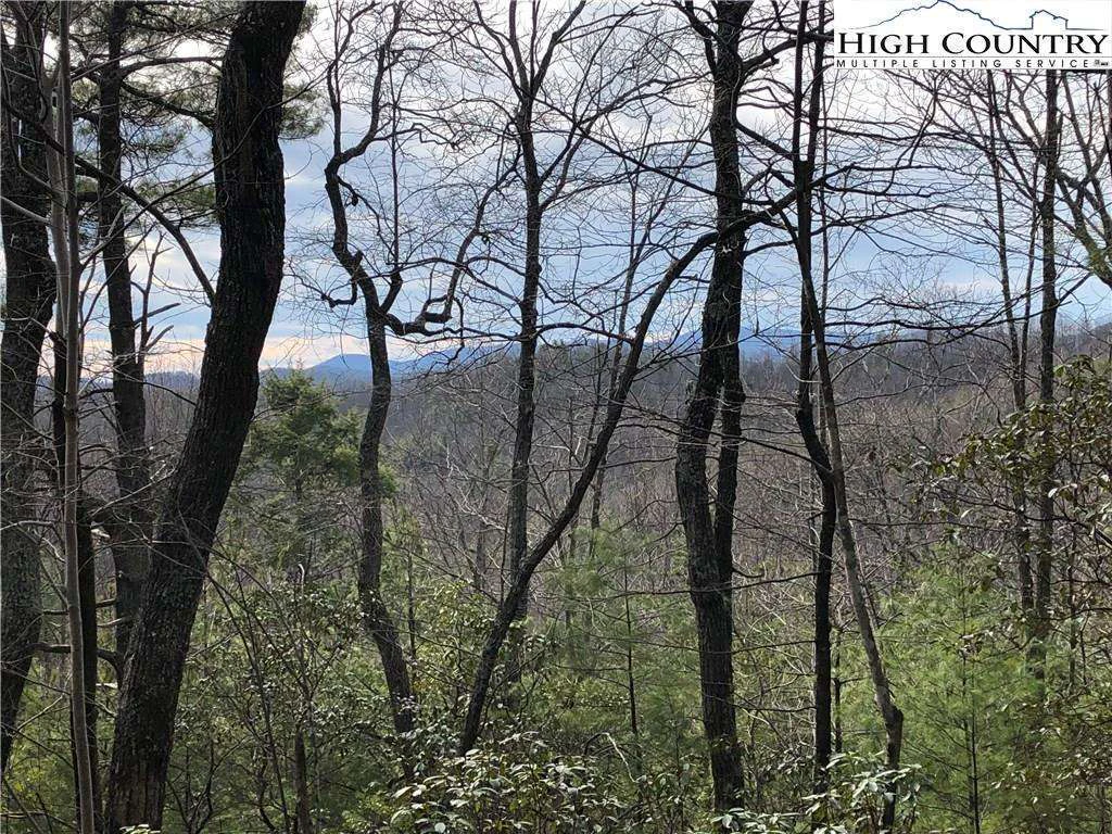 Image number 1 for the current listing