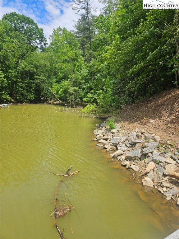 Image number 13 for the current listing